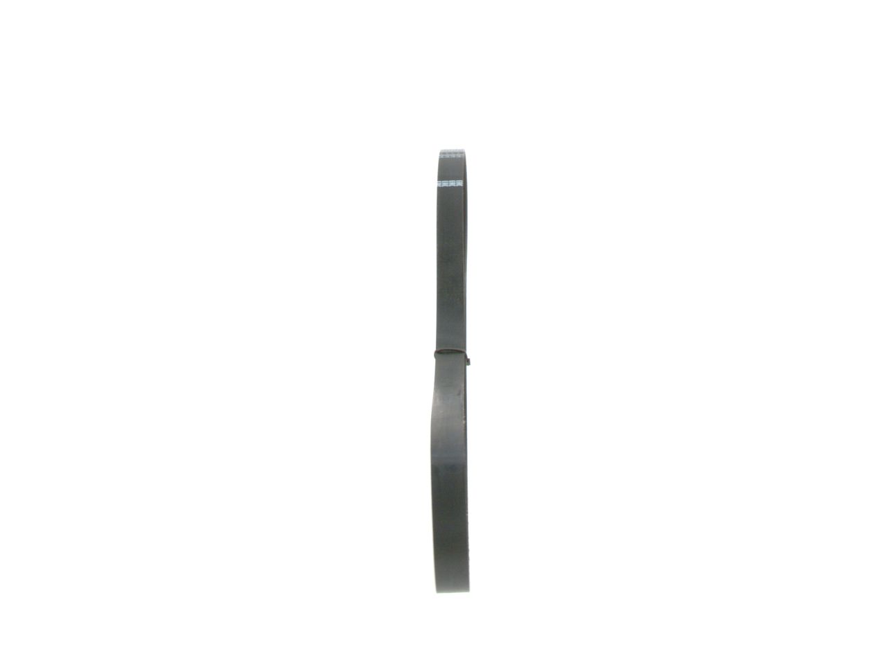 V-ribbed Belt-1