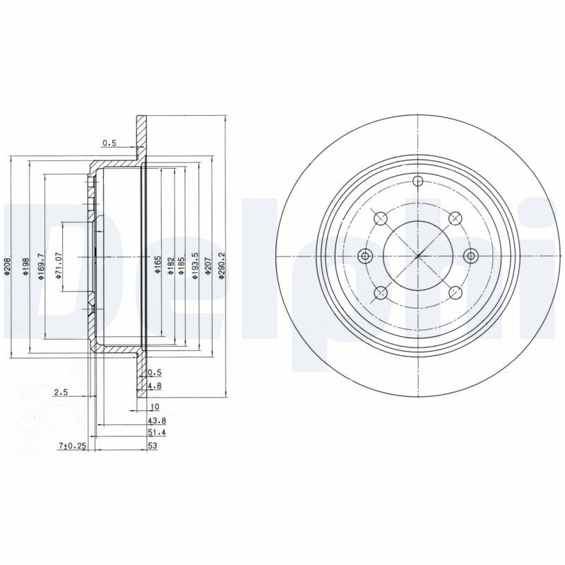 DELPHI BG2873 Brake disc