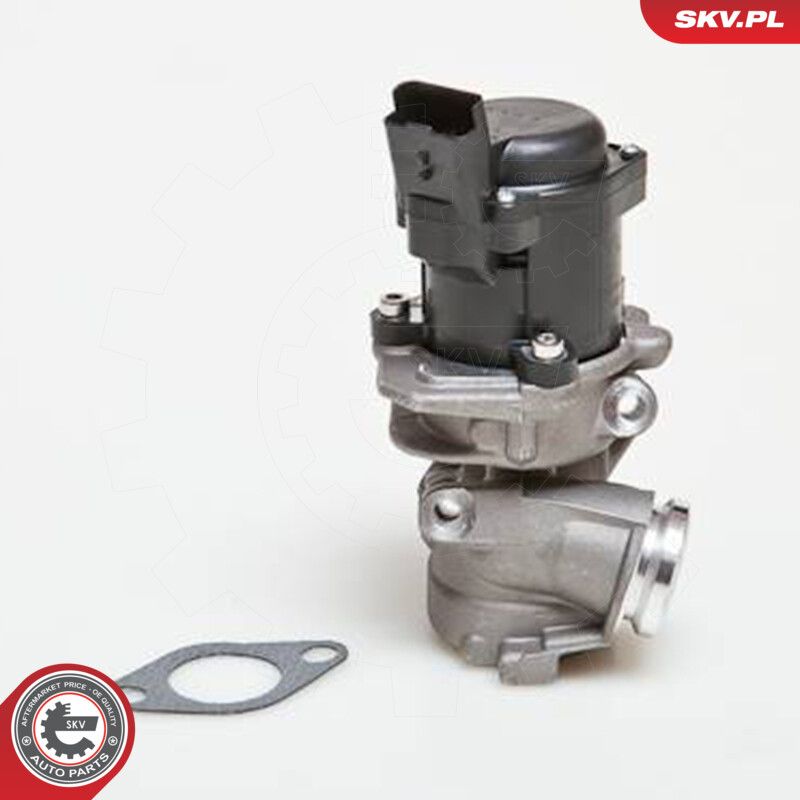 ESEN SKV 14SKV027 Egr valve