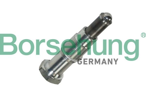 BORSEHUNG B13307 Tensioner, timing chain