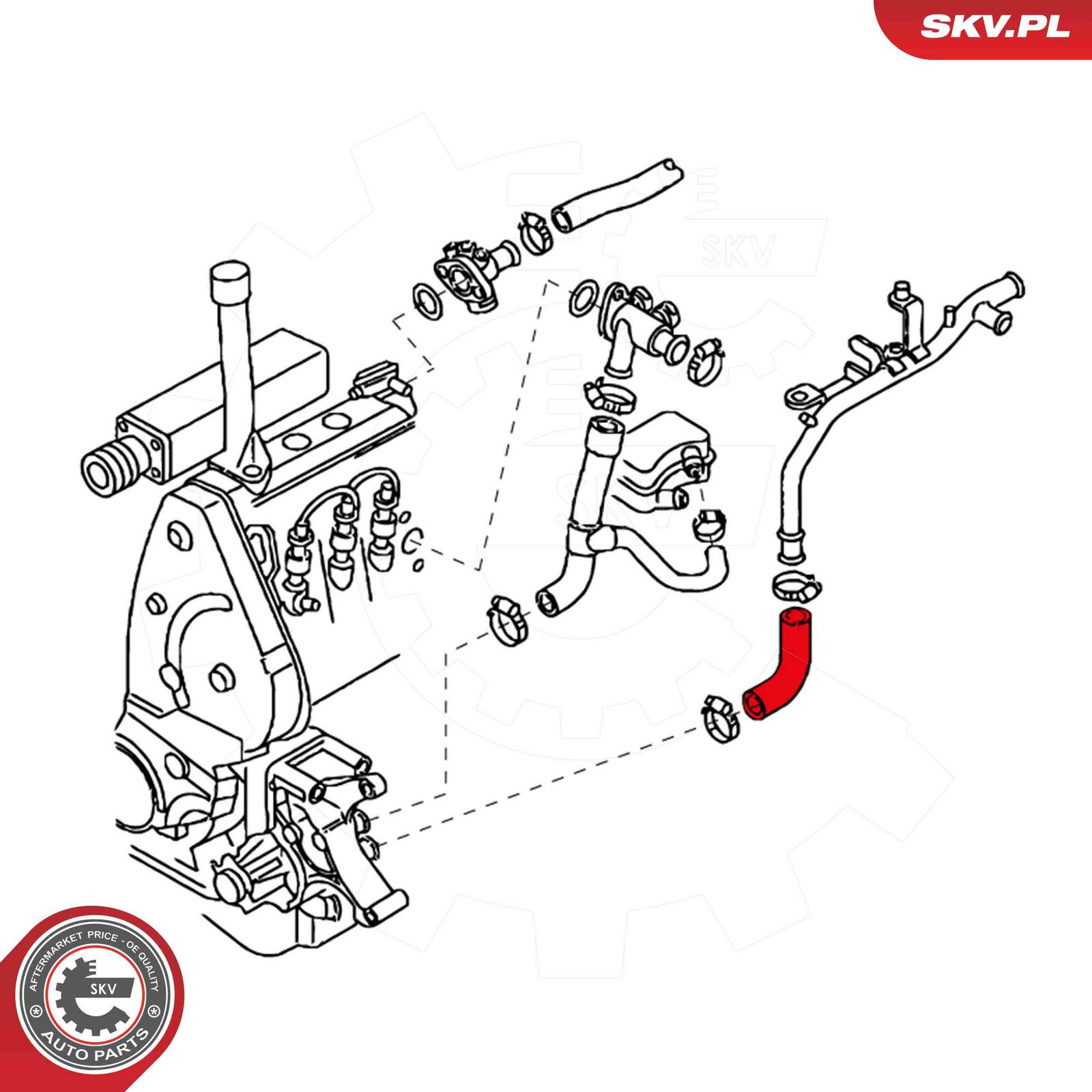 Radiator Hose-1