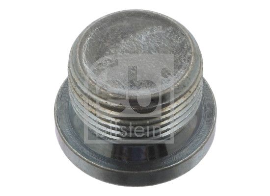 Screw Plug, manual transmission housing