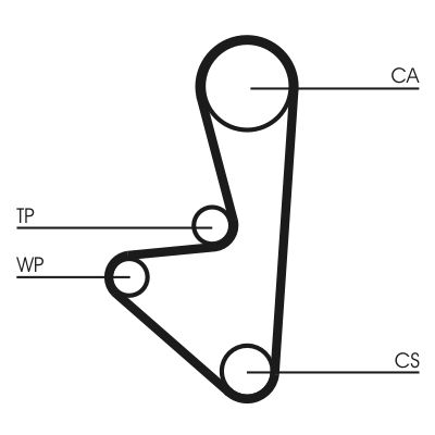 Water Pump & Timing Belt Kit-1