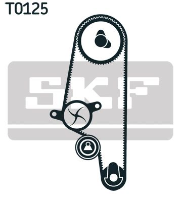Water Pump & Timing Belt Kit-1