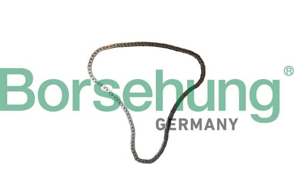 BORSEHUNG B12766 Timing chain