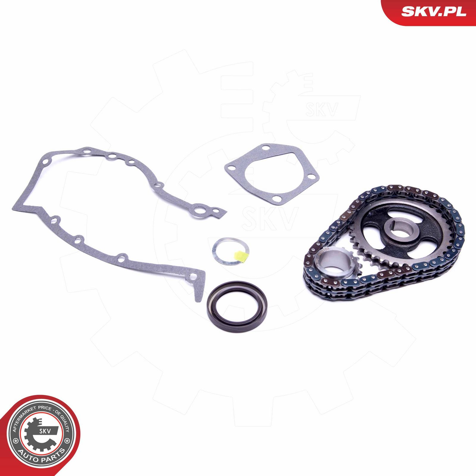 Timing Chain Kit