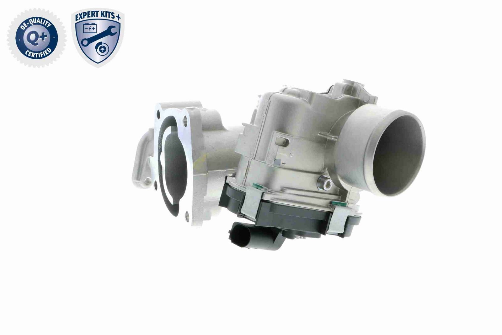 Throttle Body-6