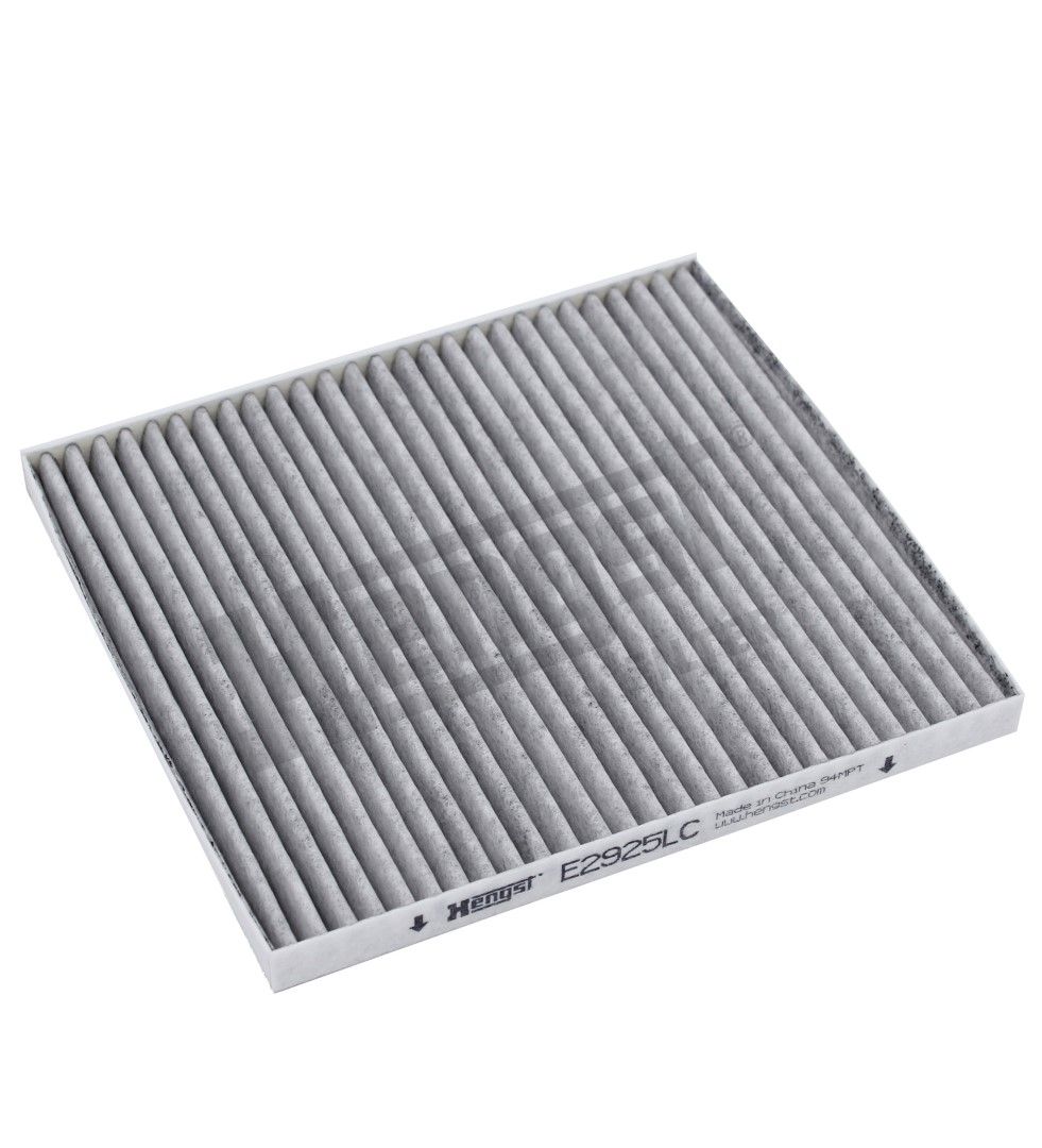 HENGST FILTER E2925LC Filtras, salono oras