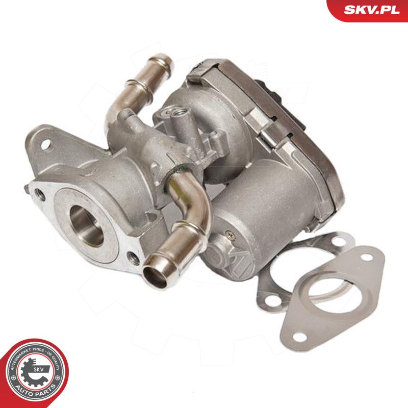 EGR Valve-4