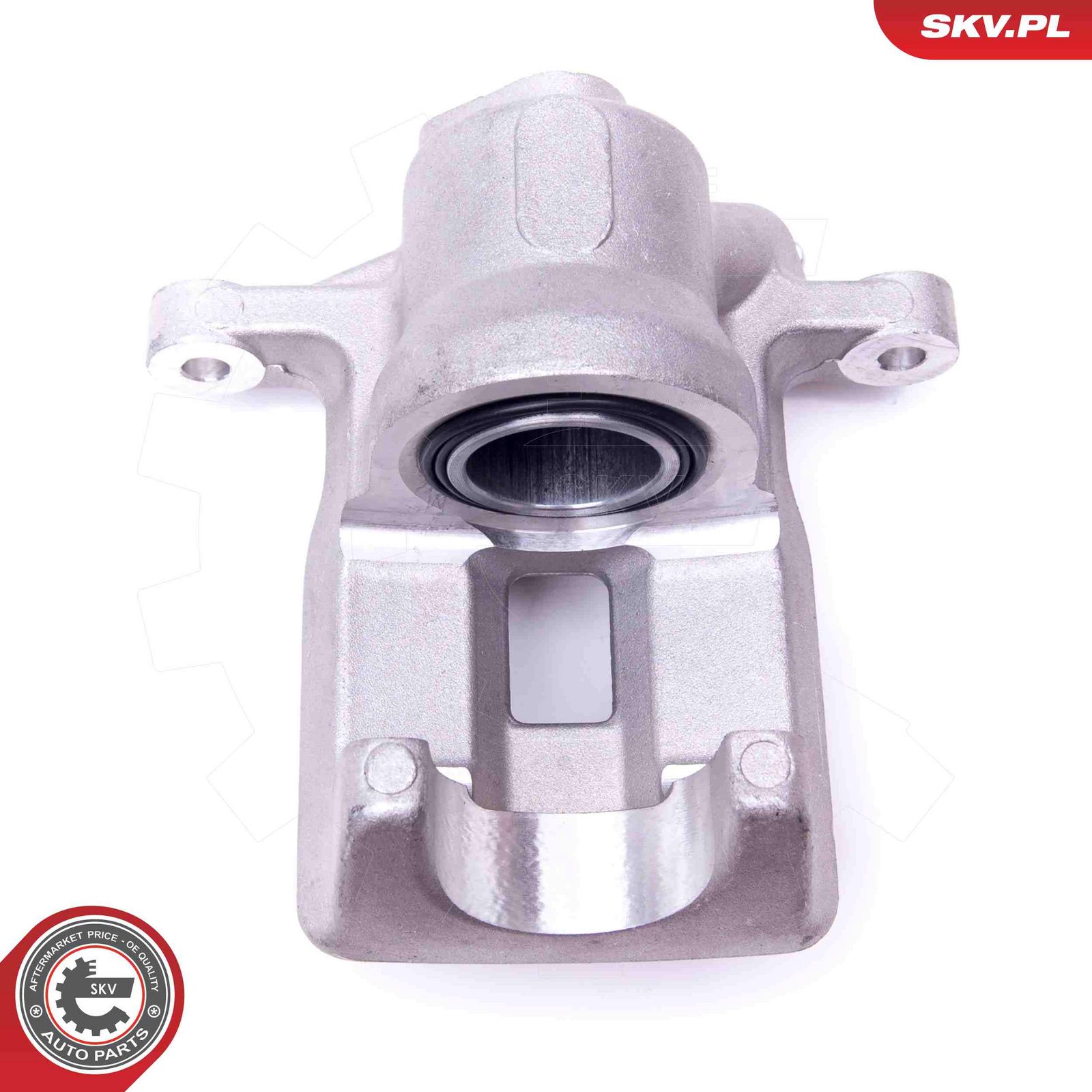 Brake Caliper-2