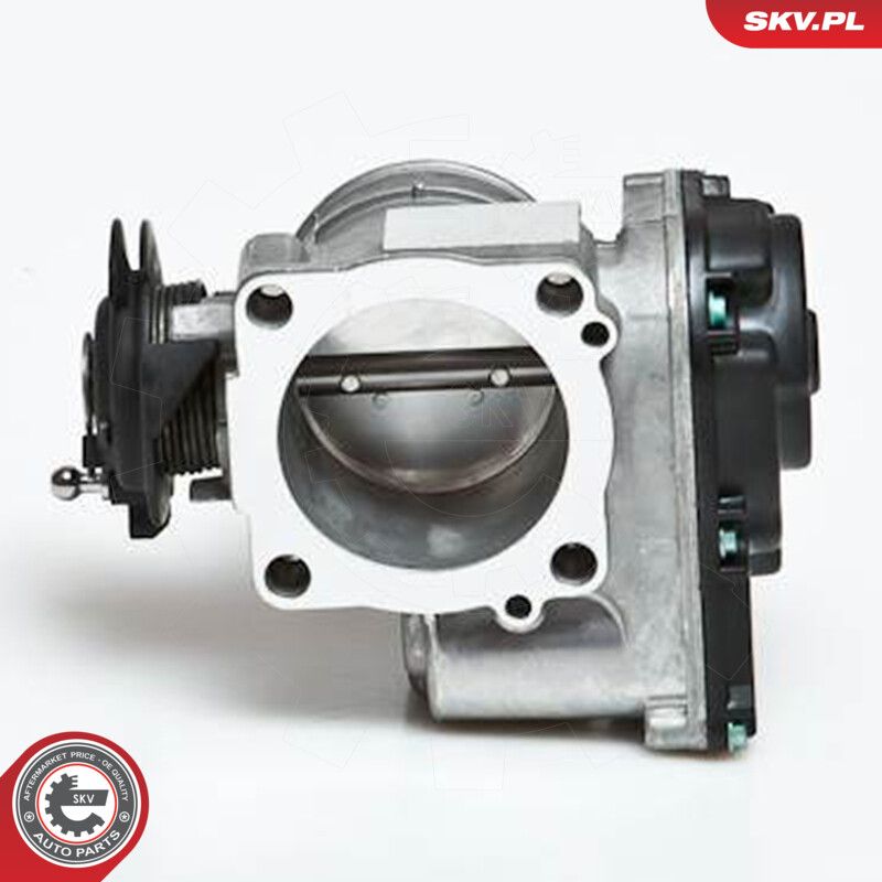 Throttle Body-2