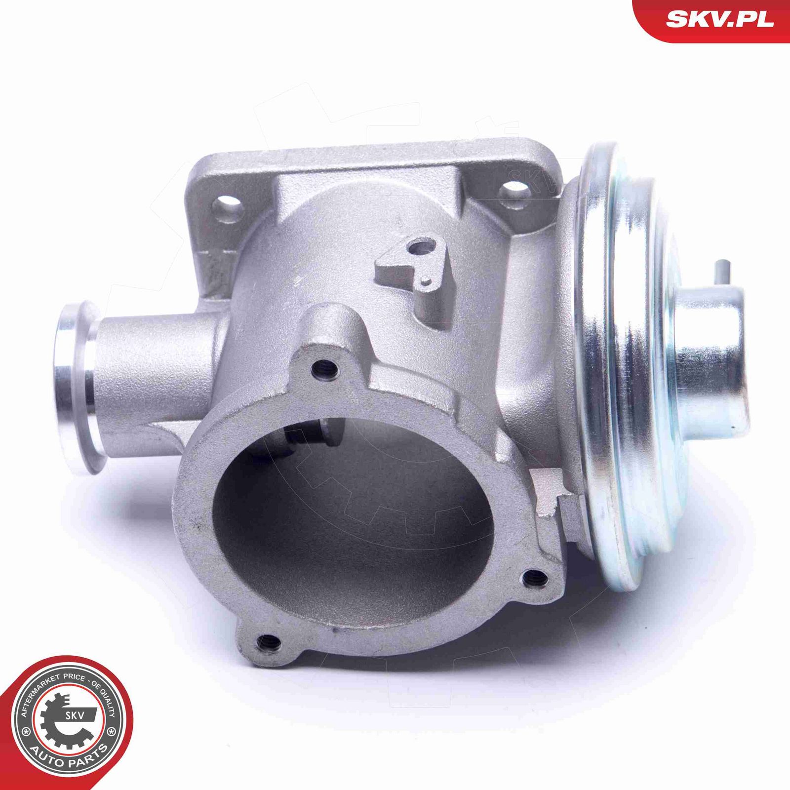 EGR Valve-4