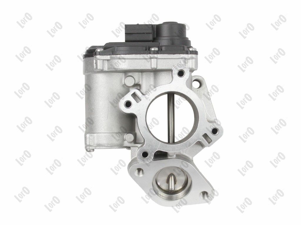 EGR Valve-2