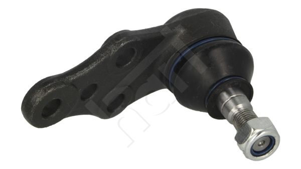 Šarnyras / girgždukas-1