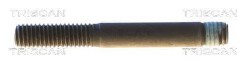 TRISCAN 8501 0521 Fastening bolt, control arm