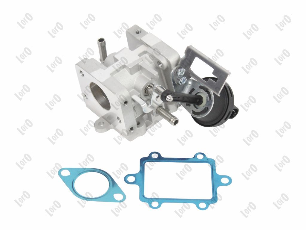 EGR Valve-1