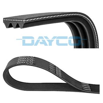 DAYCO 3PK853 V-ribbed belt