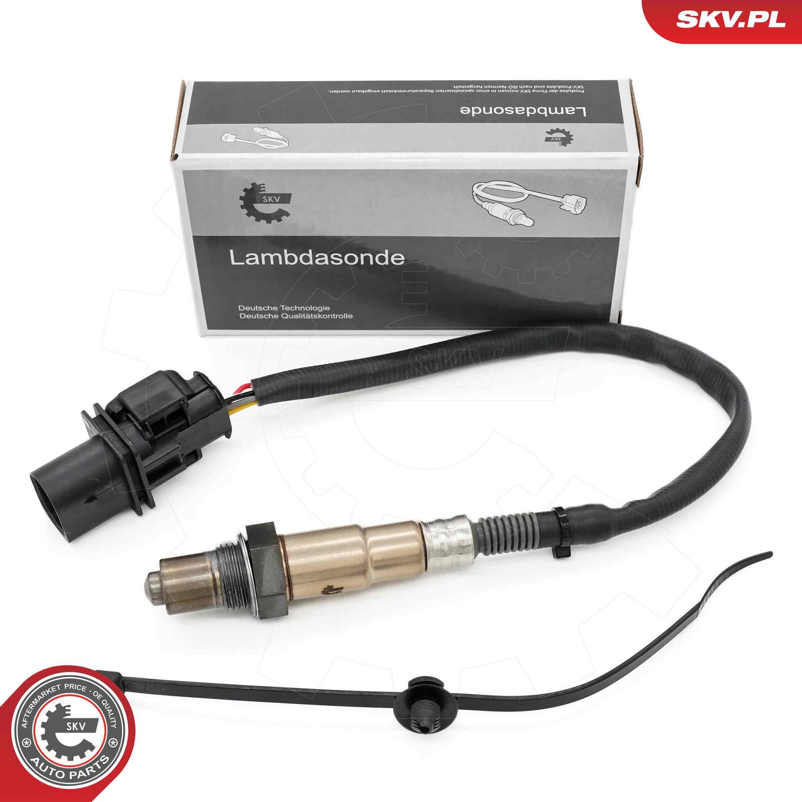Oxygen Sensor-2