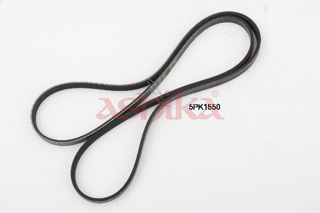 ASHIKA 112-5PK1550 V-ribbed belt