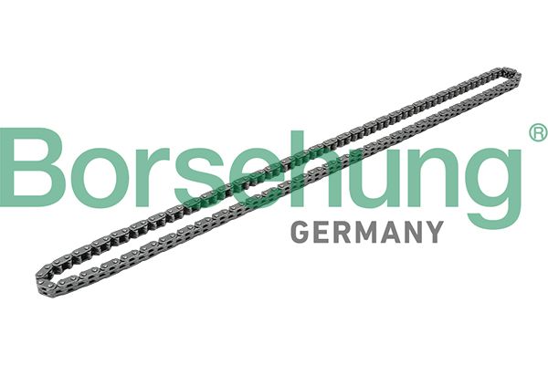 BORSEHUNG B1C019 Timing chain
