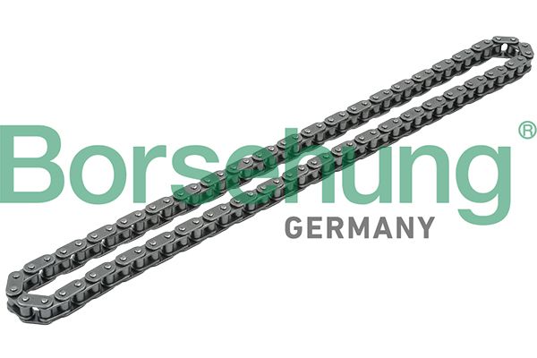 BORSEHUNG B1C010 Timing chain