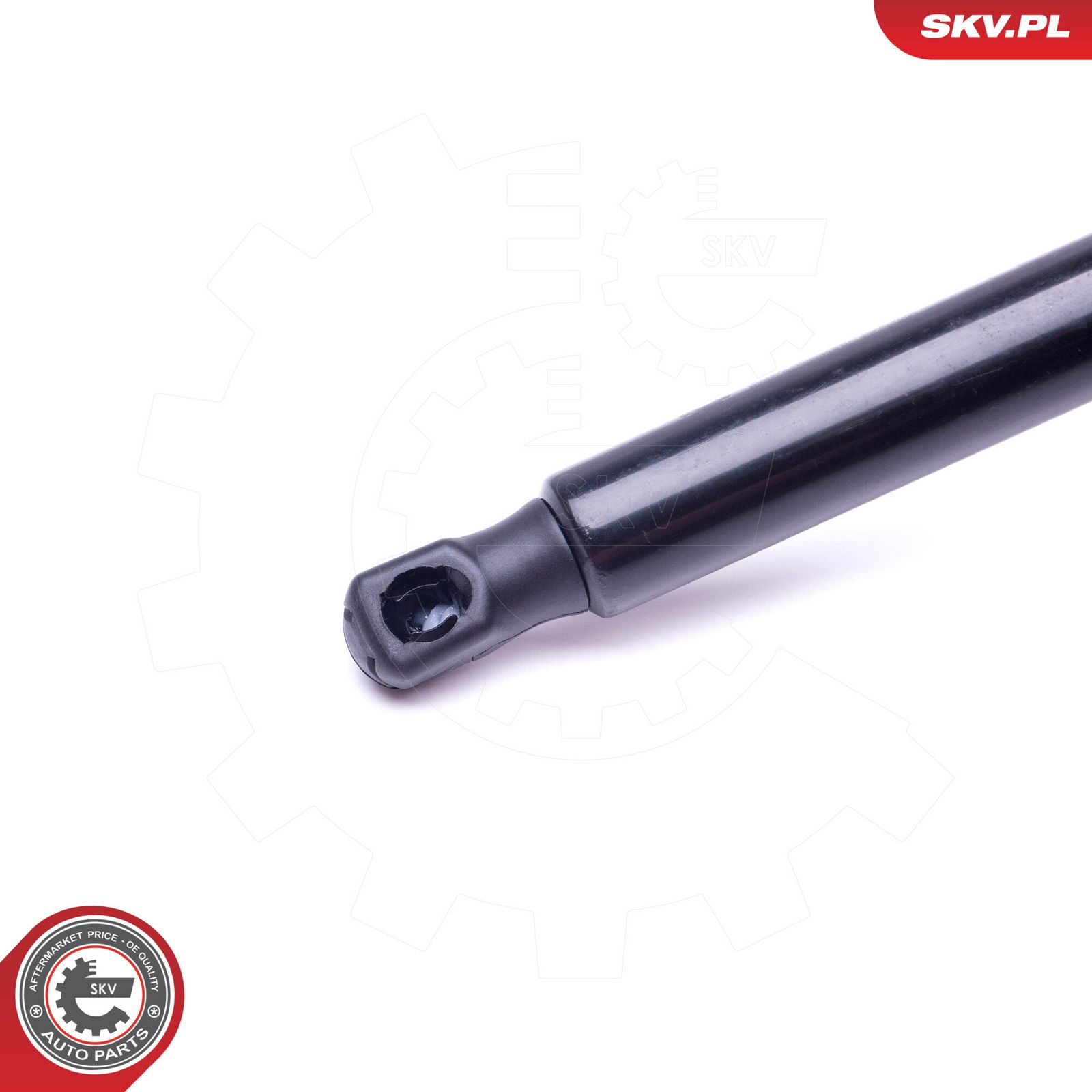 Gas Spring, bonnet-2