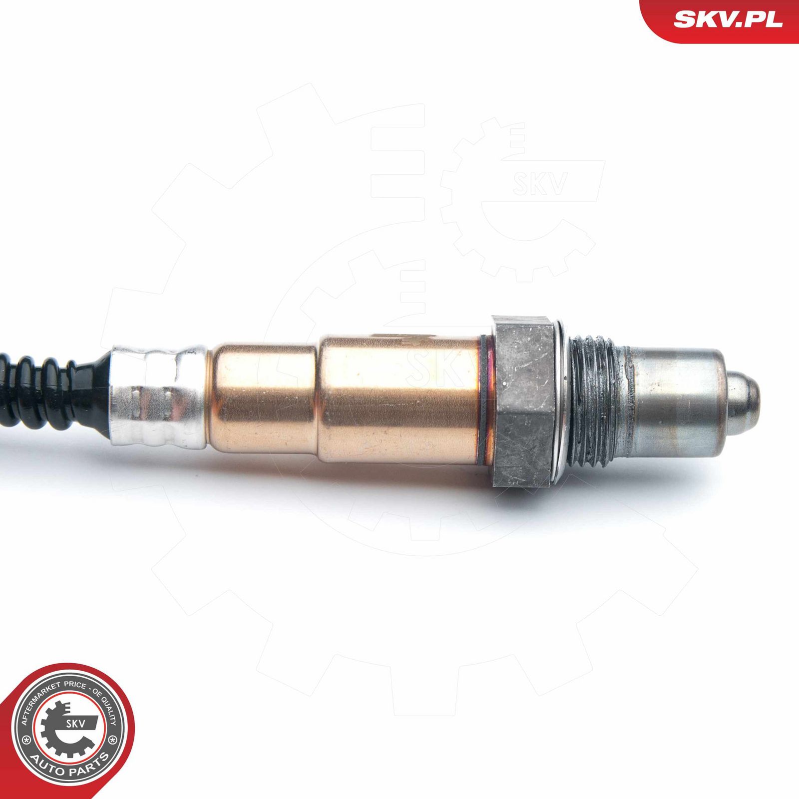 Oxygen Sensor-1
