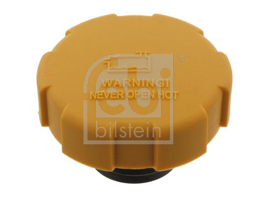 Cap, coolant tank