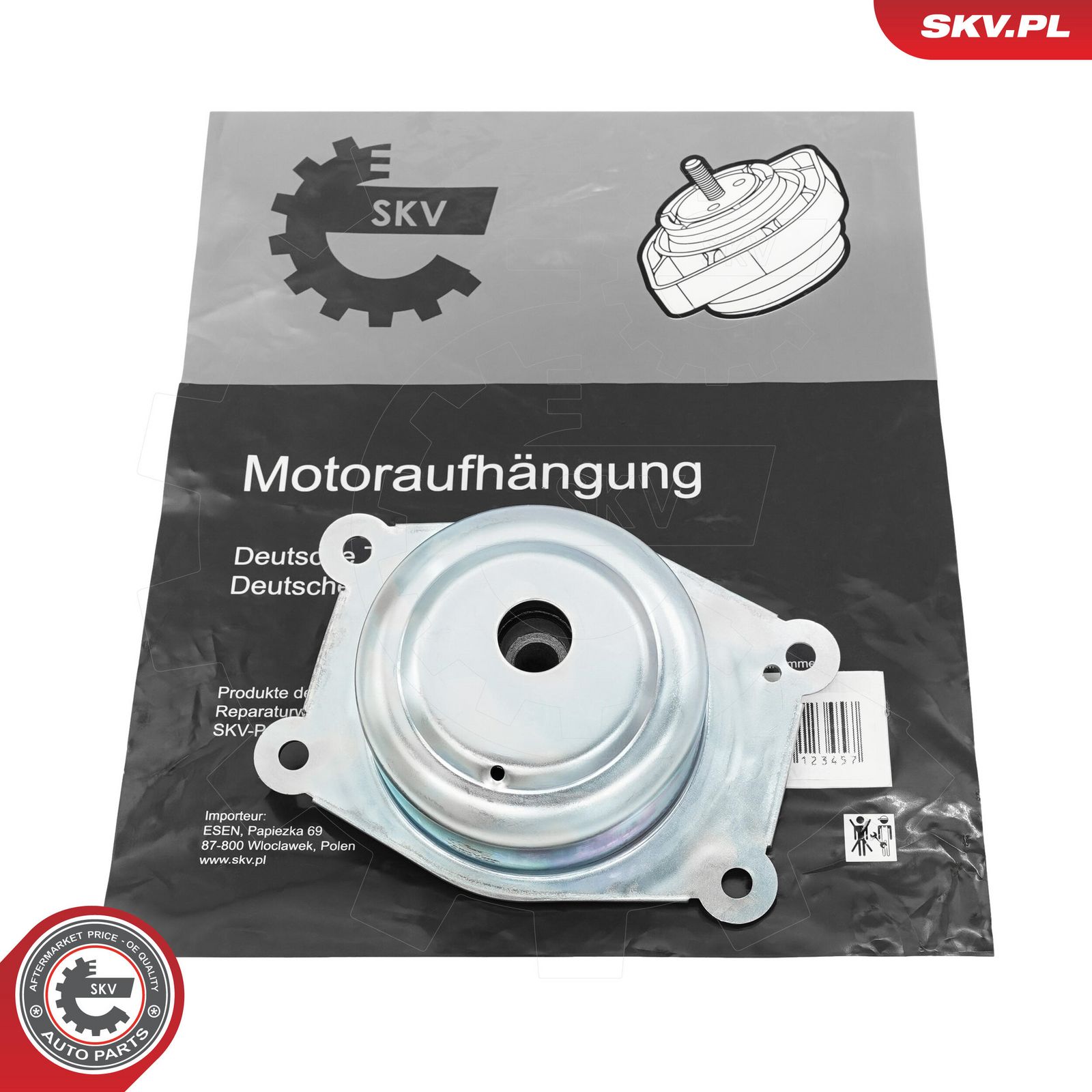 Mounting, engine-4