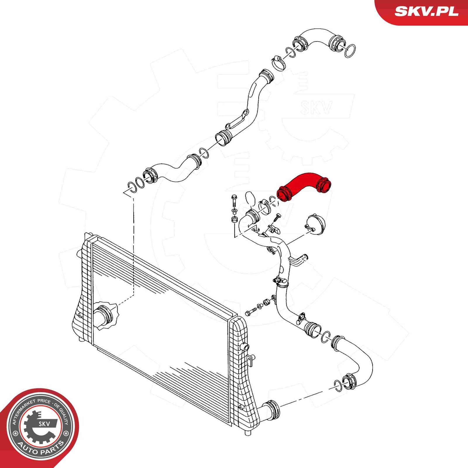 Charge Air Hose-2