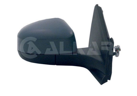 Exterior Mirror