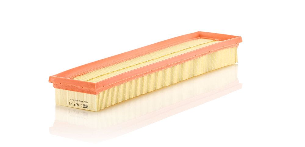 MANN-FILTER C 4371/1 Air filter