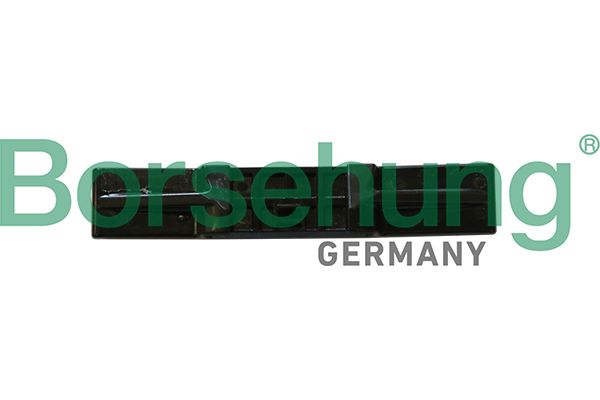 BORSEHUNG B1G056 Guide, timing chain