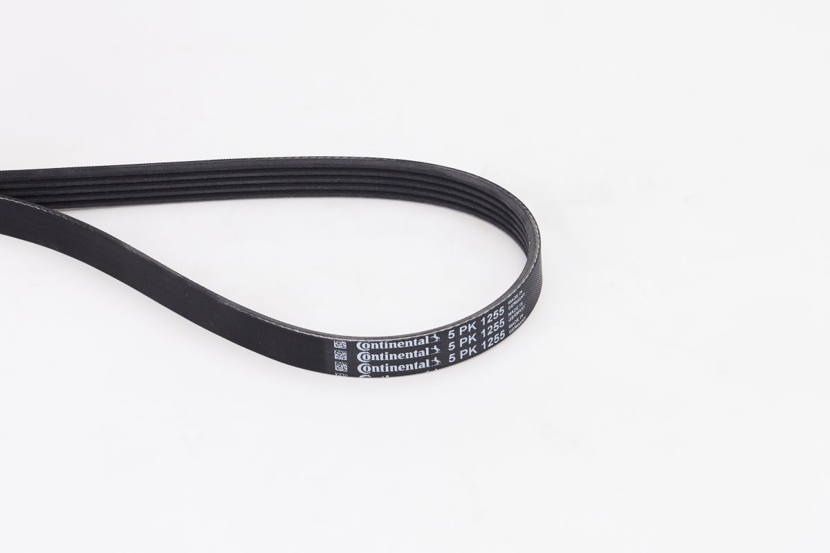 V-ribbed Belt