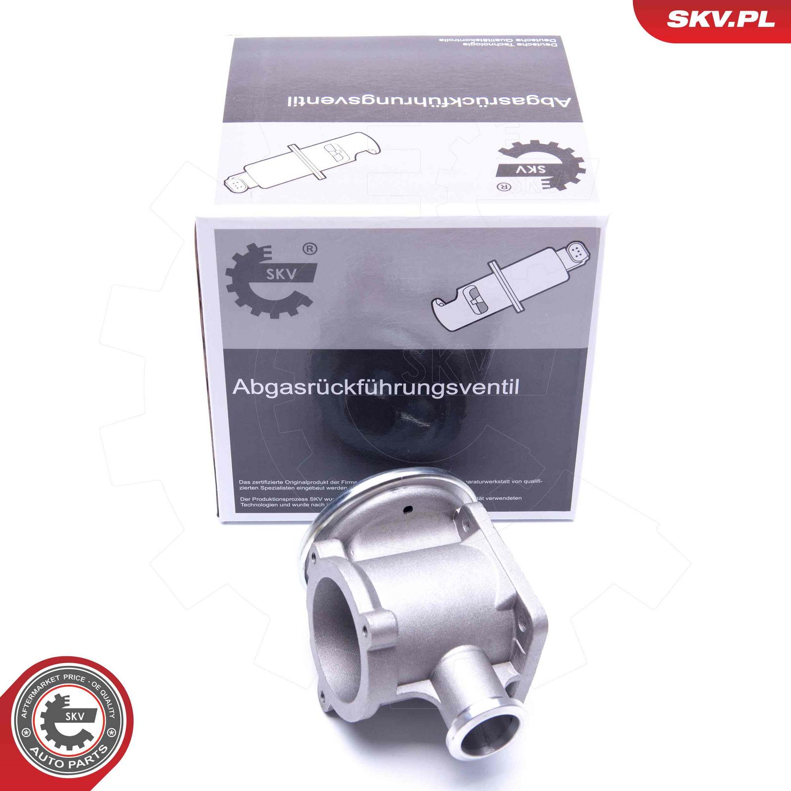 EGR Valve-3