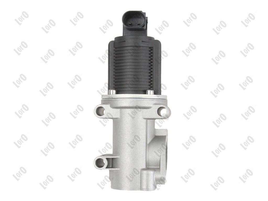 EGR Valve-2