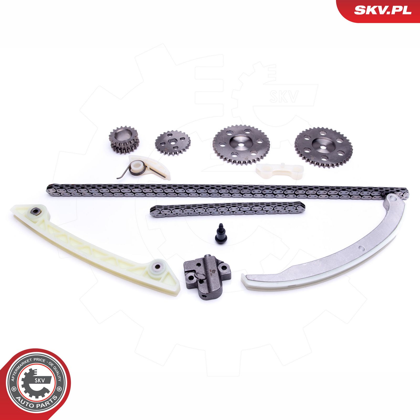 ESEN SKV 21SKV231 Timing chain kit