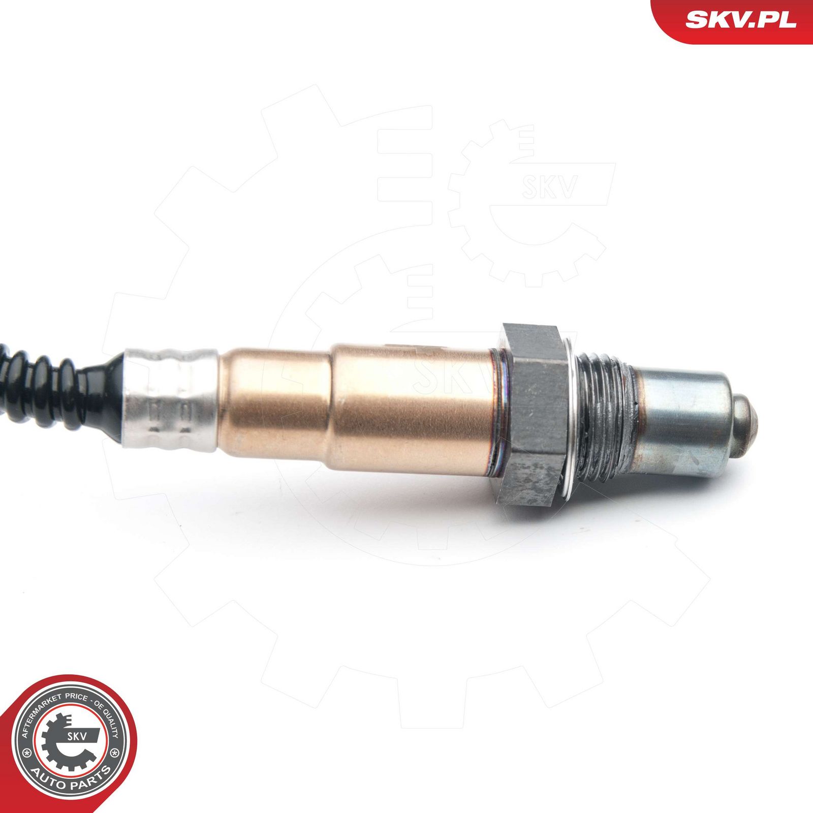 Oxygen Sensor-3