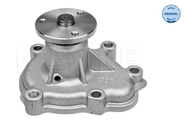 Water Pump, engine cooling-1