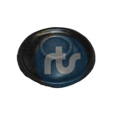 RTS 017-00204 Mounting, control/trailing arm
