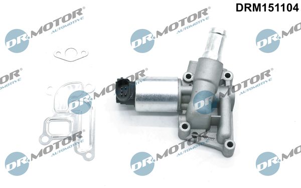 EGR Valve