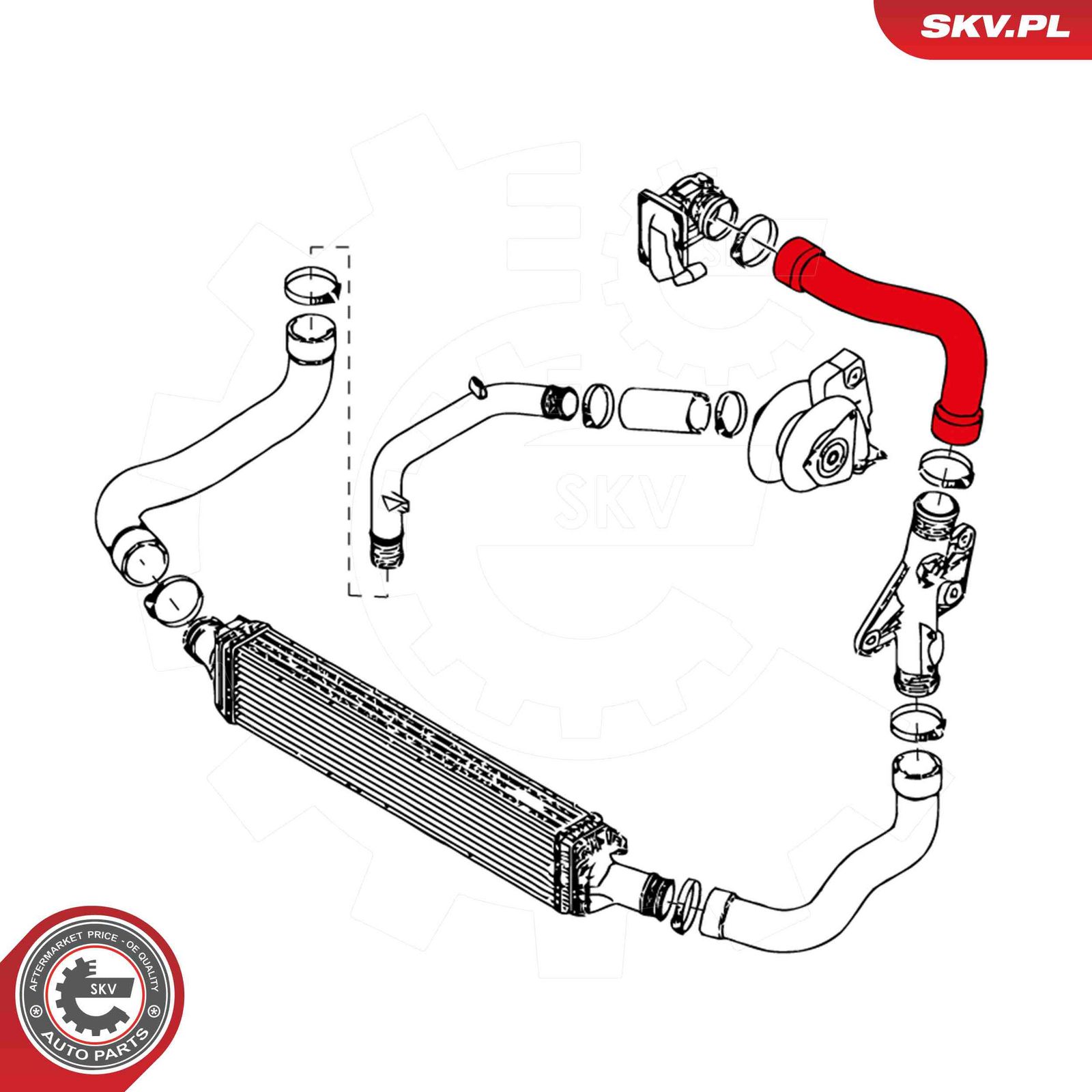 Charge Air Hose-1