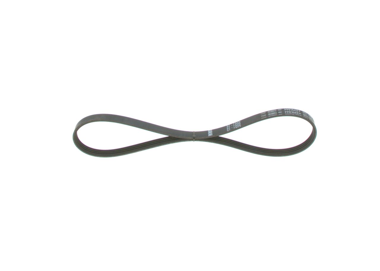 V-ribbed Belt