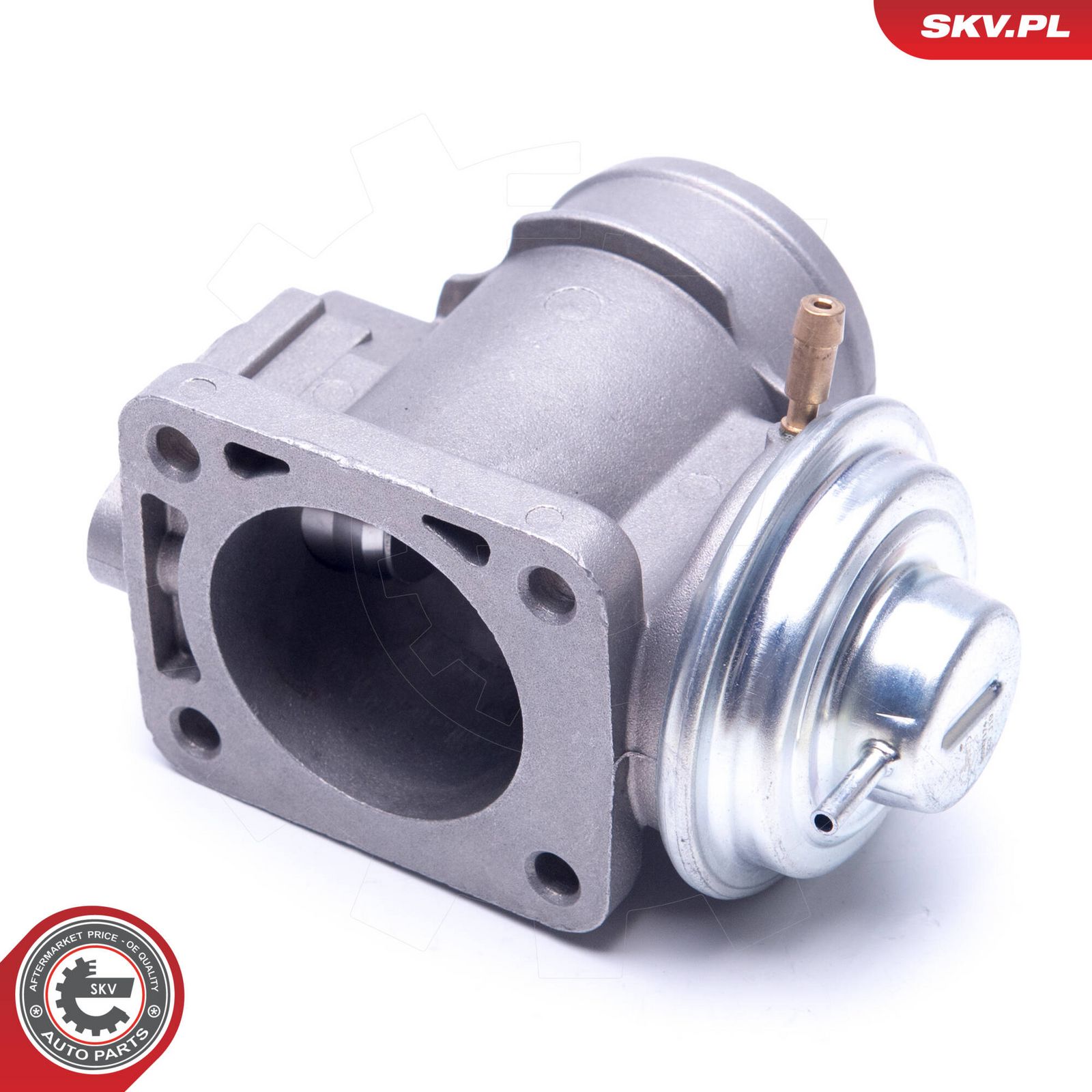 EGR Valve-2
