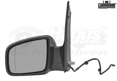 VAN WEZEL 3081807 Exterior mirror