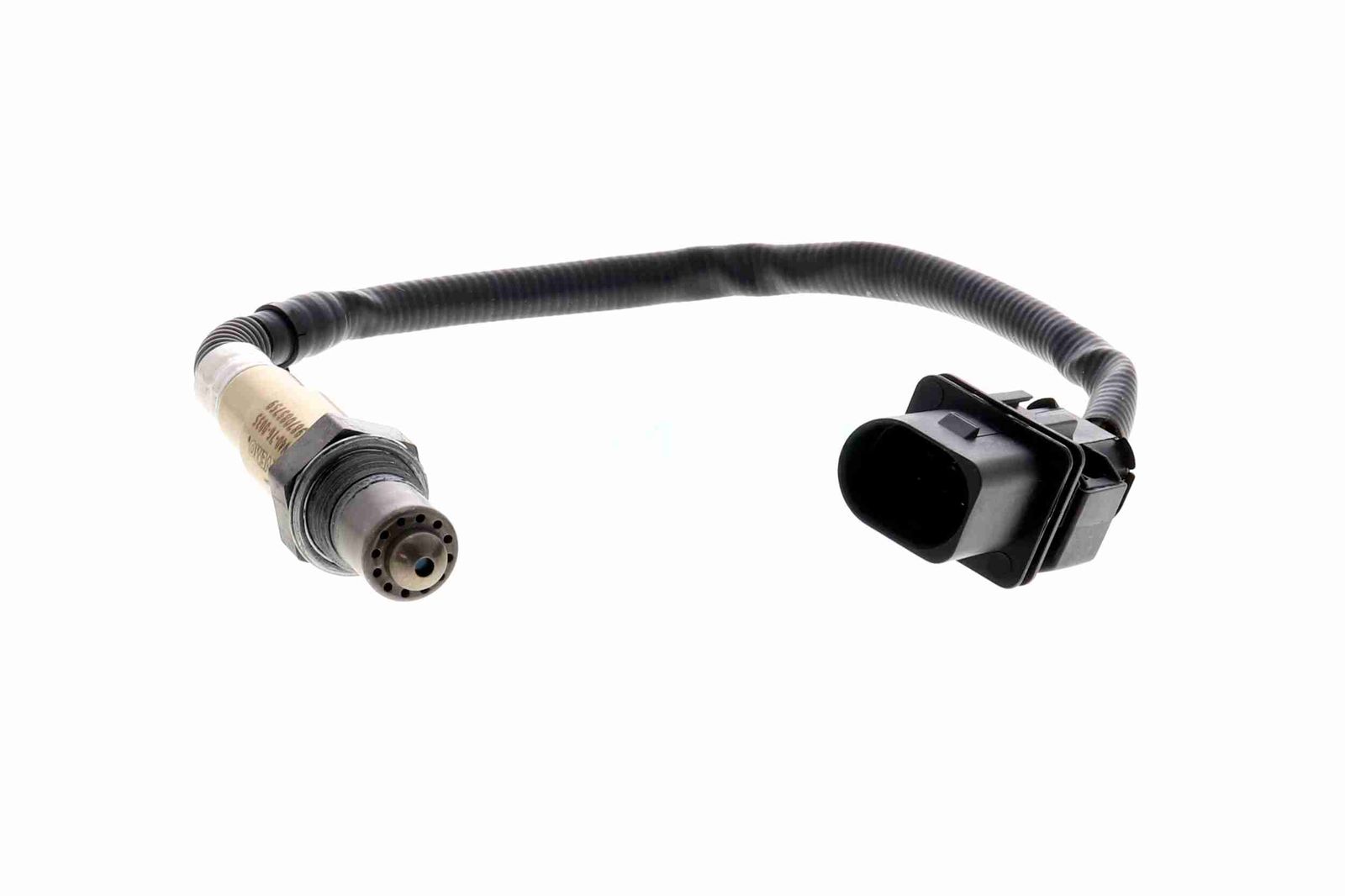 Oxygen Sensor-2