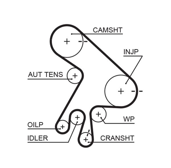 GATES 5562XS Timing belt
