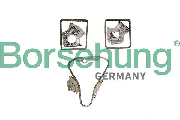 BORSEHUNG B12961 Timing chain kit
