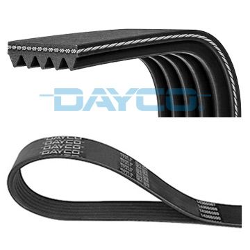 DAYCO 5PK1100 V-ribbed belt