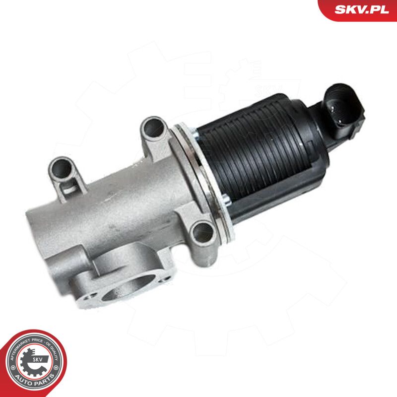 ESEN SKV 14SKV006 Egr valve